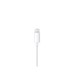 Apple EarPods with Lightning Connector