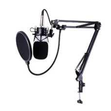 BM-700 Condenser Sound Recording Microphone