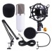 BM-700 Condenser Sound Recording Microphone